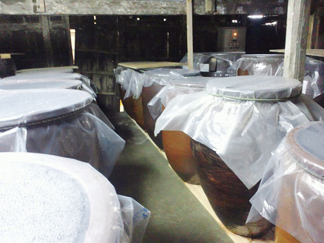 泡盛を貯蔵するカメの並んだ工場の中の写真